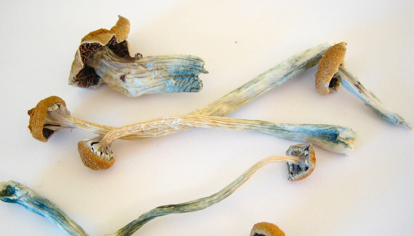 The Spiritual and Psychedelic Voyage with Mexican Mushrooms